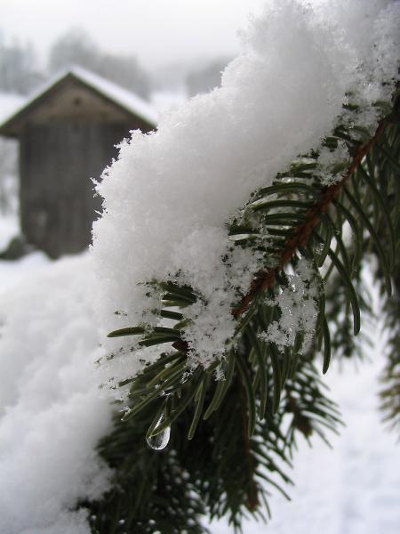 Neige....
