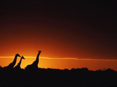 Coucher de soleil