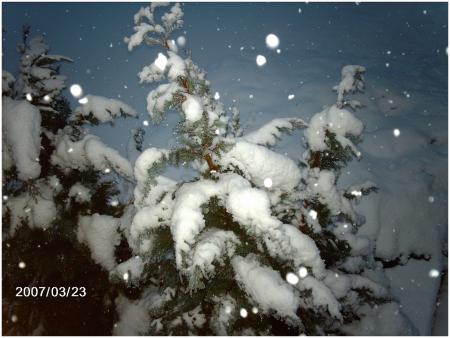 Neige