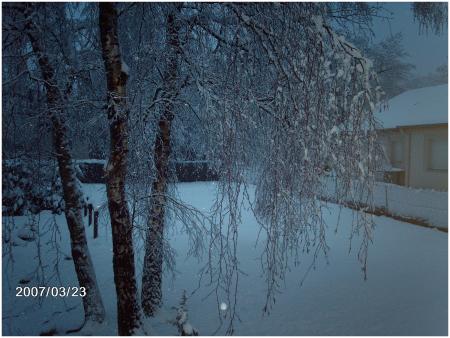 Neige