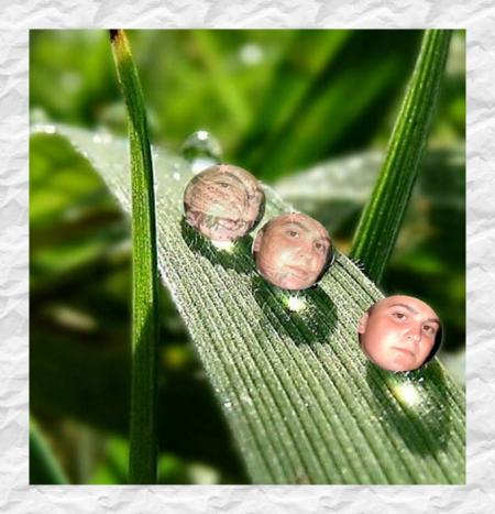 Anthony