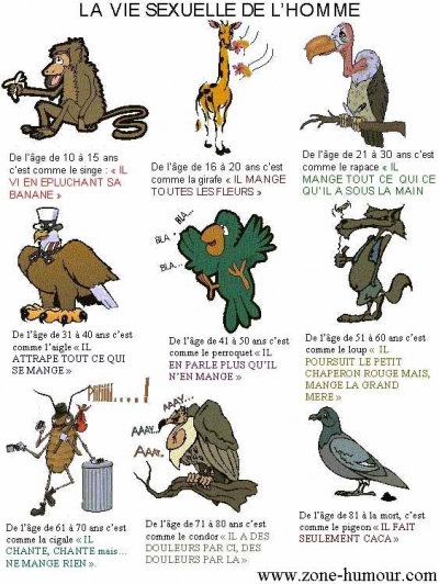 Humour