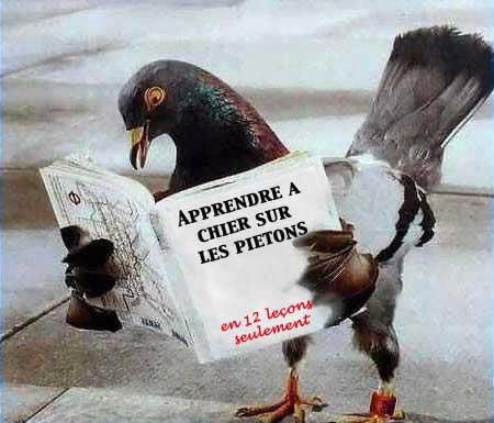 Humour
